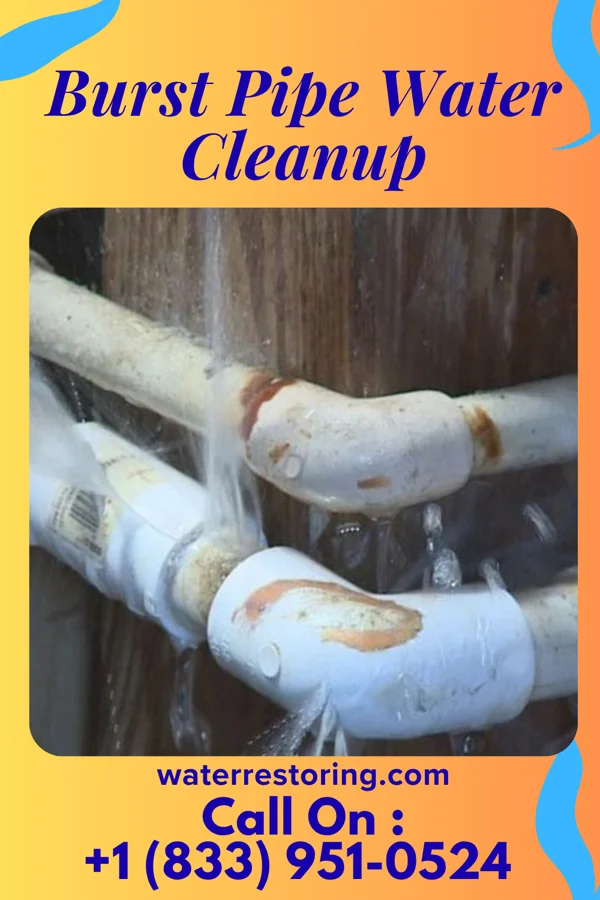Burst Pipe Water Cleanup in Meadow Woods, FL
