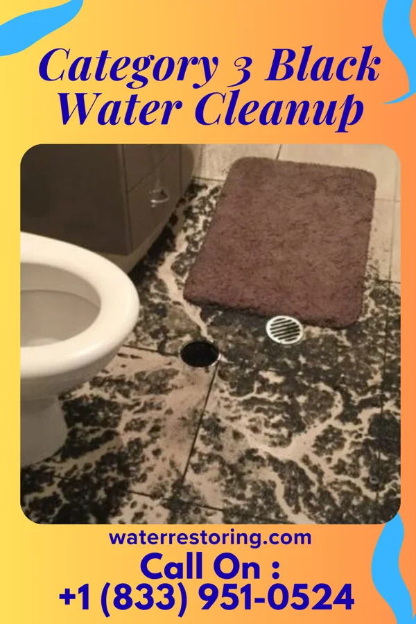 Category 3 Black Water Cleanup in Meadow Woods, FL
