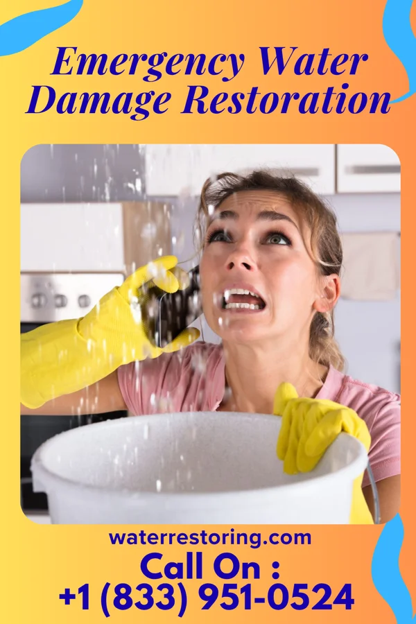 Emergency Water Damage Restoration in Meadow Woods, FL