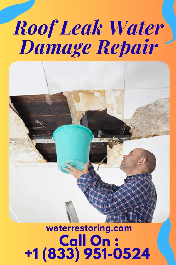 Roof Leak Water Damage Repair in Meadow Woods, FL